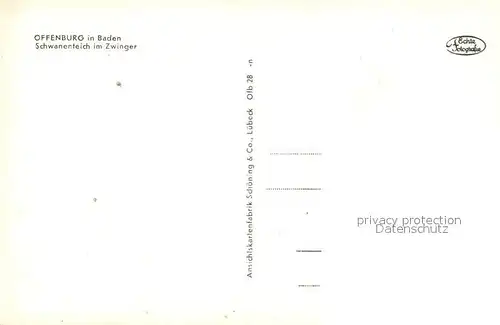 AK / Ansichtskarte Offenburg Schwanenteich im Zwinger Offenburg