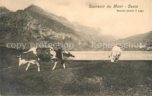 AK / Ansichtskarte Susa Mont Genis Pascolo presso il Lago Susa
