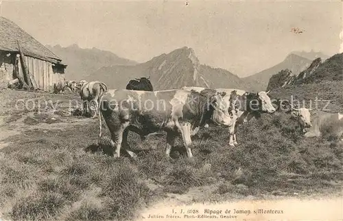 AK / Ansichtskarte Montreux_VD Alpage de Jaman Montreux VD