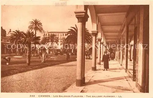 Cannes_Alpes Maritimes Les Galeries Fleuries Cannes Alpes Maritimes