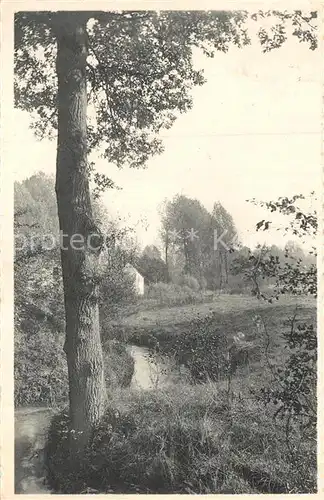 Chaumont Gistoux Vers le Moulin Chaumont Gistoux