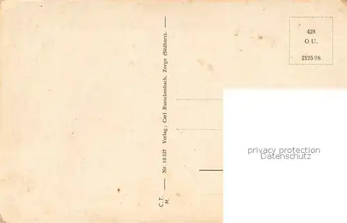 Zorge Kuehe auf dem Weg zur Weide Zorge