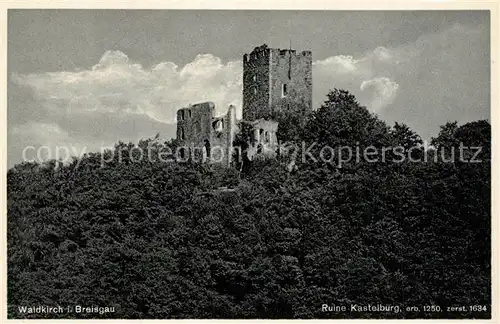 Waldkirch_Breisgau Ruine Kastelburg Waldkirch Breisgau