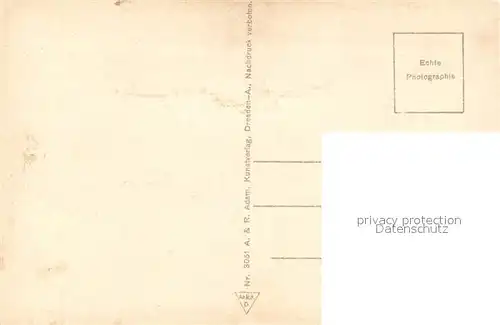 Moritzburg_Sachsen Wildschwein Fuetterung Jagdschloss Panorama Moritzburg Sachsen