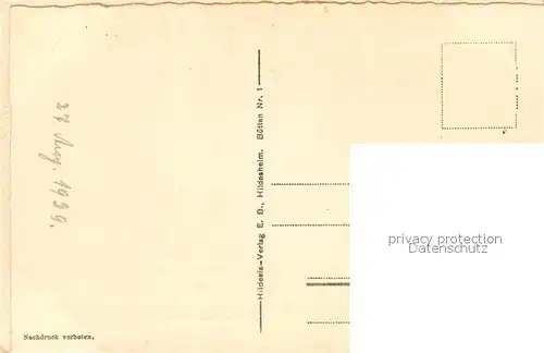 Hildesheim Dom Hildesheim