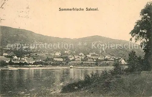 Salesel_Tschechien Uferpartie an der Elbe Sommerfrische Salesel_Tschechien