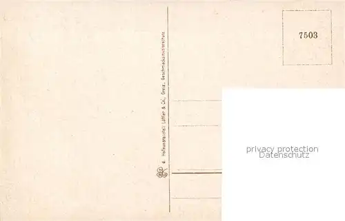 AK / Ansichtskarte Boehmerwald Urwald Boehmerwald