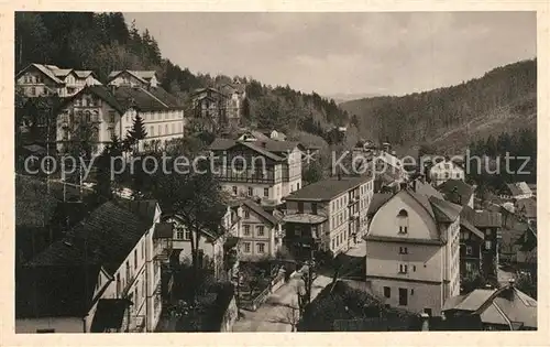 AK / Ansichtskarte Janske_Lazne Teilansicht Janske_Lazne