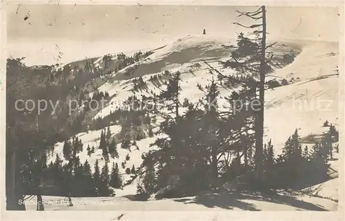 Feldberg_Schwarzwald  Feldberg Schwarzwald