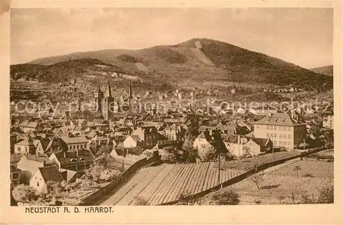 Neustadt_Haardt Fliegeraufnahme Neustadt_Haardt