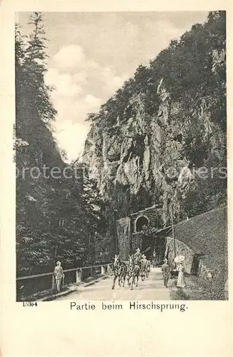 Hirschsprung_Schwarzwald mit Pferdekutsche 