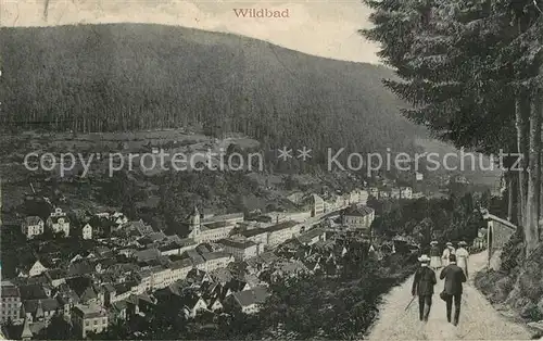 Wildbad_Schwarzwald Blick vom Wanderweg Wildbad_Schwarzwald