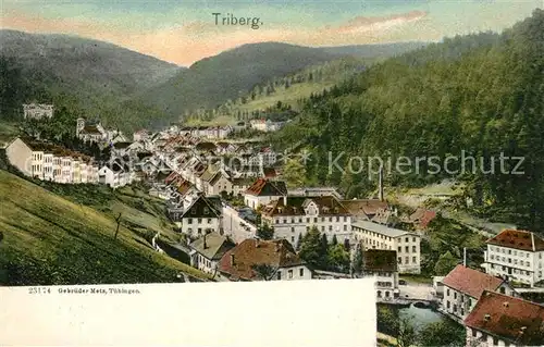 Triberg_Schwarzwald Vogelschau Triberg Schwarzwald