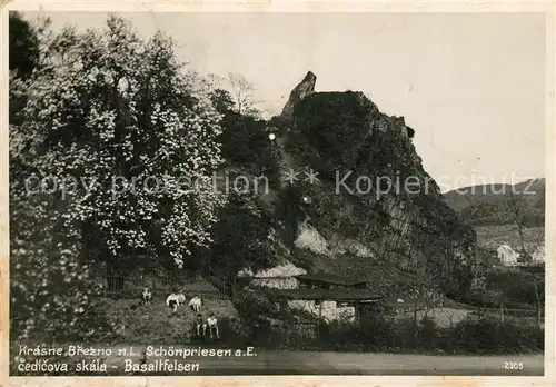 AK / Ansichtskarte Krasne_Brezno_Schoenpriessen Cedicova skala Basaltfelsen Baumbluete Krasne_Brezno