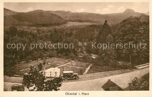 AK / Ansichtskarte Okertal Waldhaus Fritz Brasching Hotel Pension Okertal