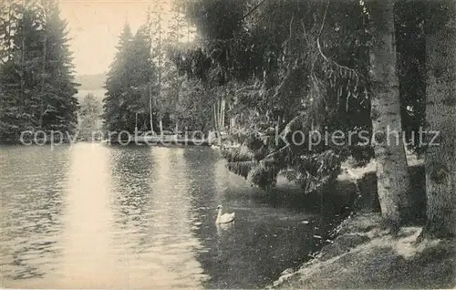 AK / Ansichtskarte Bad_Langenschwalbach Kurpark Partie am Weiher Bad_Langenschwalbach