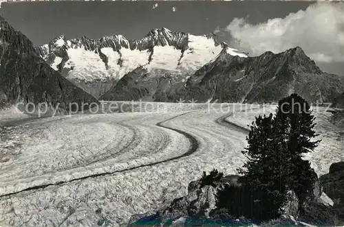 AK / Ansichtskarte Gletscher Riederalp ob M?rel Grosser Aletschgletscher Fiescherh?rner  