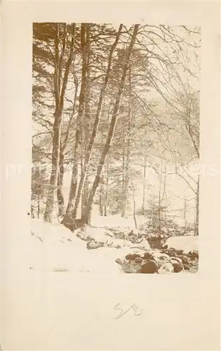 AK / Ansichtskarte Freiburg_Breisgau Waldpartie im Winter Freiburg Breisgau