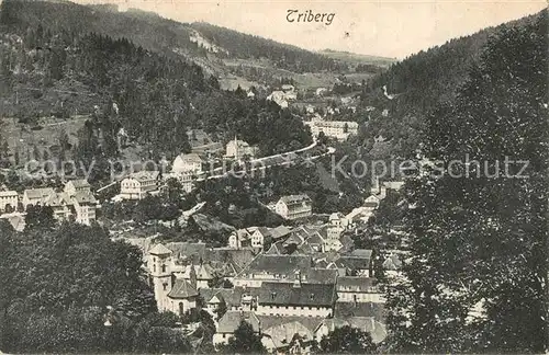 AK / Ansichtskarte Triberg_Schwarzwald  Triberg Schwarzwald
