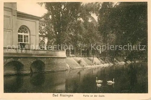 AK / Ansichtskarte Bad_Kissingen Saalepartie  Bad_Kissingen