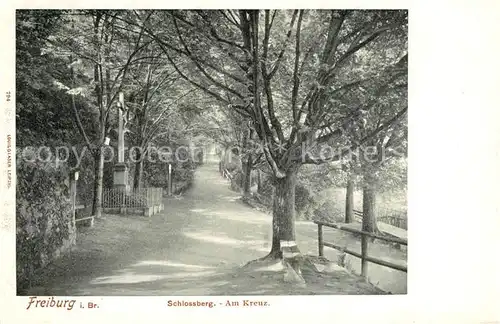 AK / Ansichtskarte Freiburg_Breisgau Schlossberg Partie am Kreuz Freiburg Breisgau