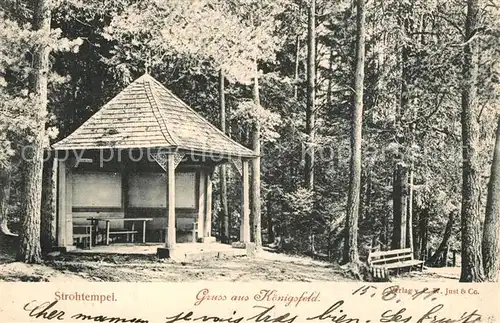 AK / Ansichtskarte Koenigsfeld_Schwarzwald Waldpartie Strohtempel Koenigsfeld Schwarzwald