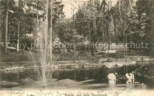 AK / Ansichtskarte Lahr_Baden Partie aus dem Stadtpark Schwanenteich Lahr_Baden