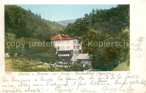 AK / Ansichtskarte Lierbach Gasthof Pension Zur Taube im Lierbachtal Lierbach