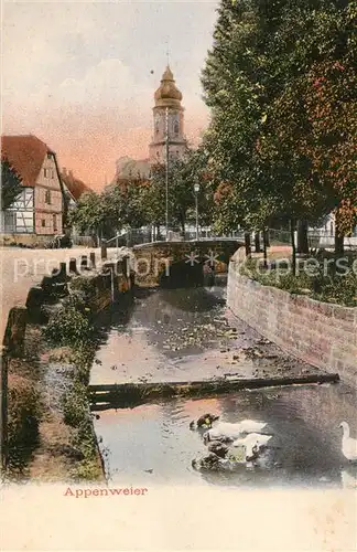 AK / Ansichtskarte Appenweier Partie am Bach Wasservoegel Blick zur Kirche Appenweier