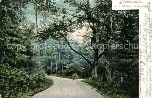 AK / Ansichtskarte Badenweiler Alte Eichen im Auwald Kurort im Schwarzwald Badenweiler