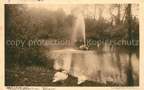 AK / Ansichtskarte Badenweiler Schwanenteich im Kurpark Kurort im Schwarzwald Badenweiler
