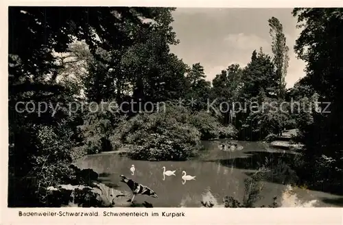 AK / Ansichtskarte Badenweiler Schwanenteich im Kurpark Kurort im Schwarzwald Badenweiler