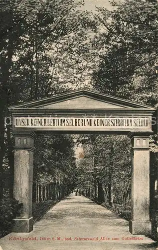 AK / Ansichtskarte Koenigsfeld_Schwarzwald Allee zum Gottesacker Koenigsfeld Schwarzwald