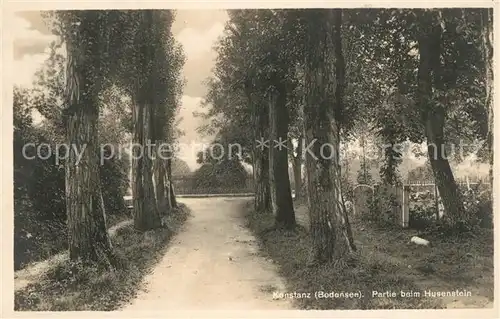 AK / Ansichtskarte Konstanz_Bodensee Partie beim Husenstein Konstanz_Bodensee