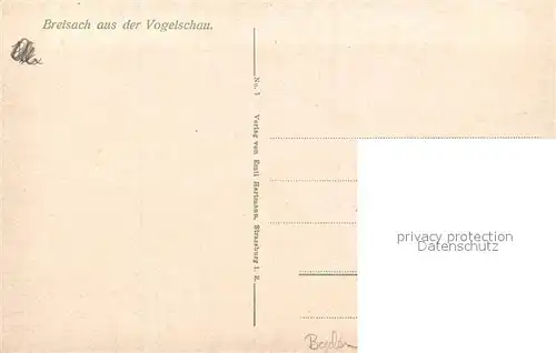 AK / Ansichtskarte Breisach_Rhein aus der Vogelschau Breisach Rhein