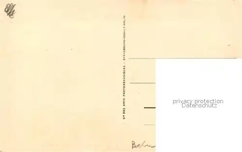 AK / Ansichtskarte Neuf Brisach Rhin Francais vue vers Vieux Brisach Schiffsbruecke Muenster Neuf Brisach