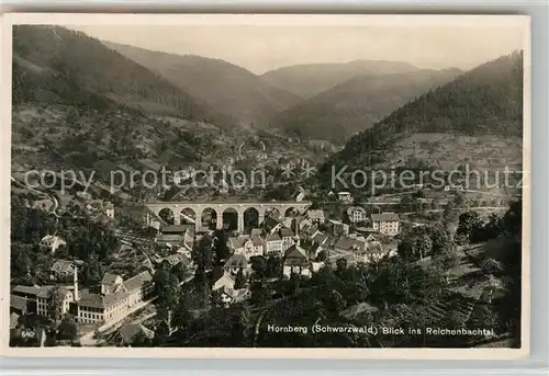 AK / Ansichtskarte Hornberg_Schwarzwald Fliegeraufnahme mit Reichenbachtal Hornberg Schwarzwald