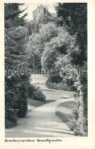 AK / Ansichtskarte Badenweiler Kurpark Burgruine Badenweiler