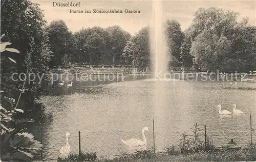 AK / Ansichtskarte Duesseldorf Zoologischer Garten Duesseldorf