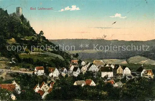 AK / Ansichtskarte Bad_Liebenzell Panorama Bad_Liebenzell
