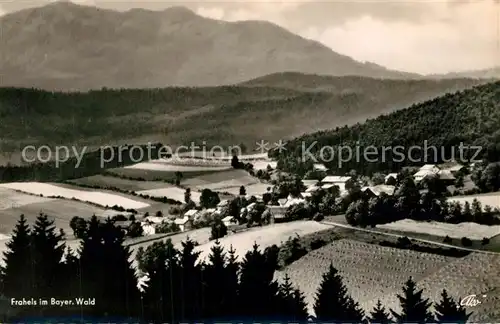 AK / Ansichtskarte Frahels_Oberpfalz Panorama Frahels Oberpfalz