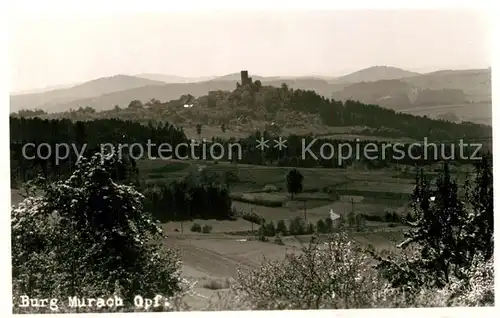 AK / Ansichtskarte Oberviechtach Burg Murach Oberviechtach