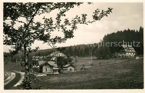 AK / Ansichtskarte Bettmannsaege_Regen Panorama Bettmannsaege Regen