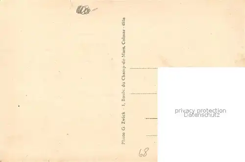 AK / Ansichtskarte Neuf Brisach Pont sur le Rhin et vue sur Vieux Brisach Schiffsbruecke Blick zum Muenster Neuf Brisach