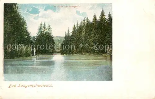 AK / Ansichtskarte Bad_Langenschwalbach Weiher im Kurpark Bad_Langenschwalbach