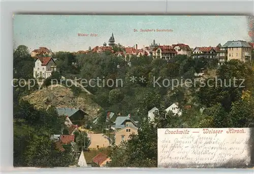 AK / Ansichtskarte Loschwitz Weisser Hirsch Weisser Ader Tauschers Sanatorium Loschwitz