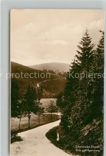 AK / Ansichtskarte Eibenstock Blick zum Auersberg Eibenstock