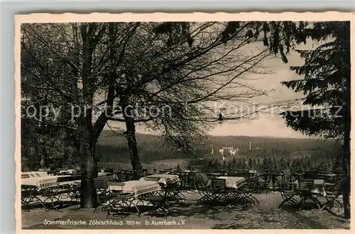 AK / Ansichtskarte Auerbach_Vogtland Zoebischhaus Sommerfrische Auerbach_Vogtland