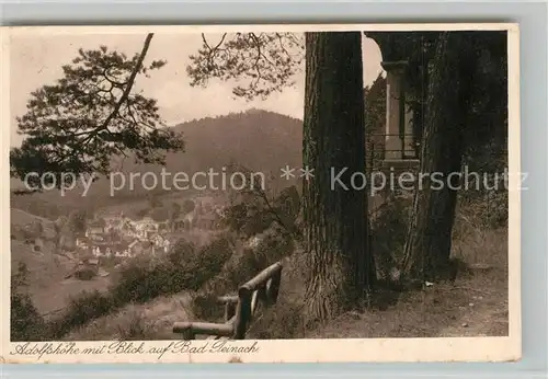 AK / Ansichtskarte Bad_Teinach Zavelstein Adolfshoehe Bad_Teinach Zavelstein