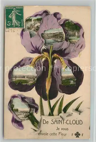 AK / Ansichtskarte Saint Cloud_Coteaux Je vous envoie cette Fleur Saint Cloud Coteaux